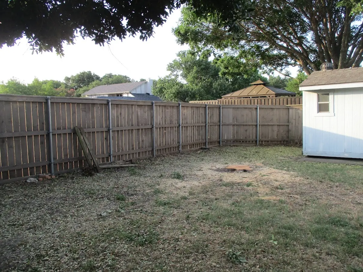 Cleared yard after professional tree removal in Clay City