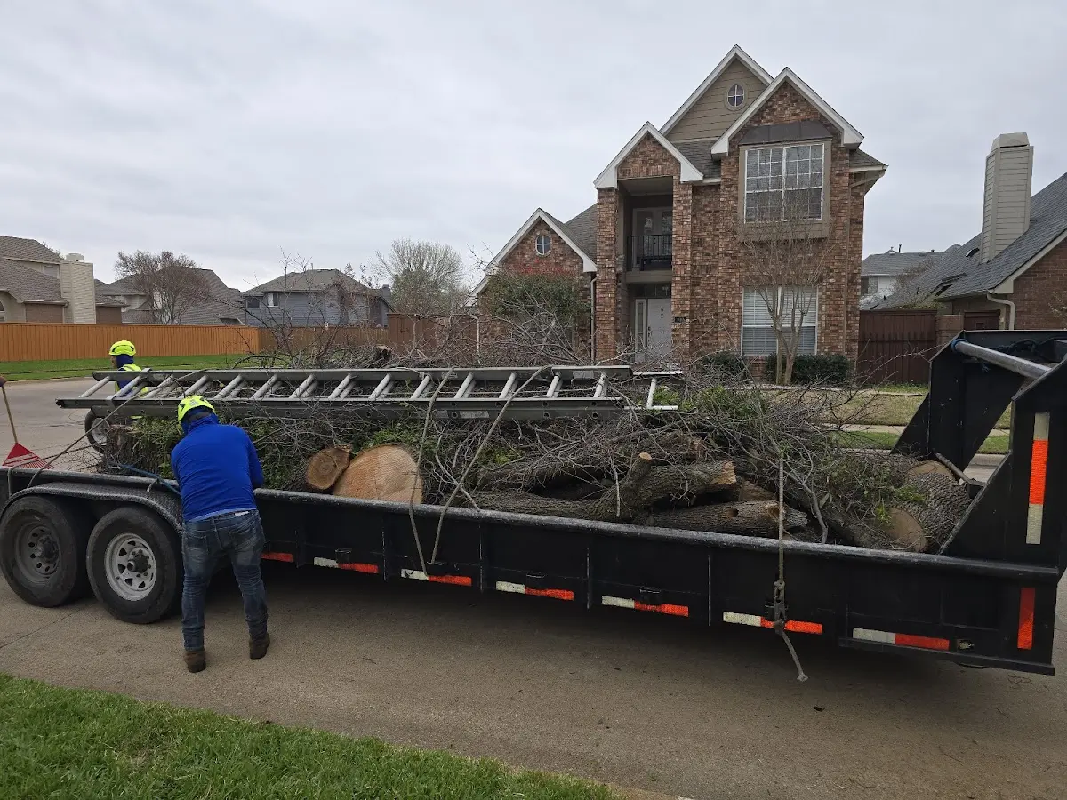 Expert Tree Pest Control with proper safety equipment in Clay City